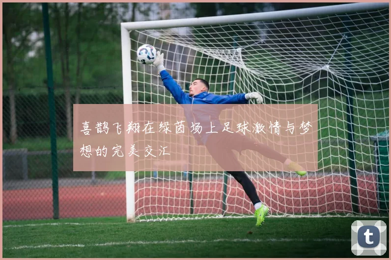 喜鹊飞翔在绿茵场上足球激情与梦想的完美交汇