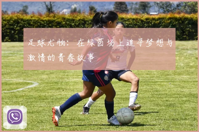 足球尤物：在绿茵场上追寻梦想与激情的青春故事