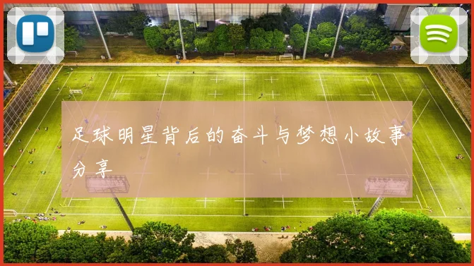 足球明星背后的奋斗与梦想小故事分享
